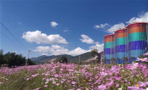 BIPV，讓水泥廠變花園！